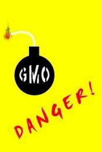 GMO