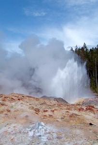 Yellowstone Geyser