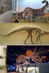 Dinosaurs