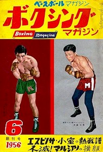 Japanese Boxing Poster