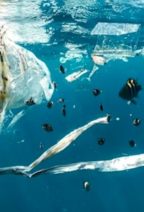 Plastics in Water