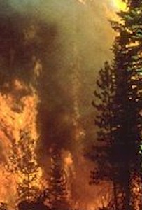 Wildfires