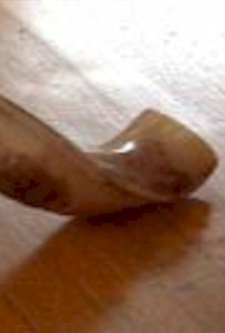 Shofar